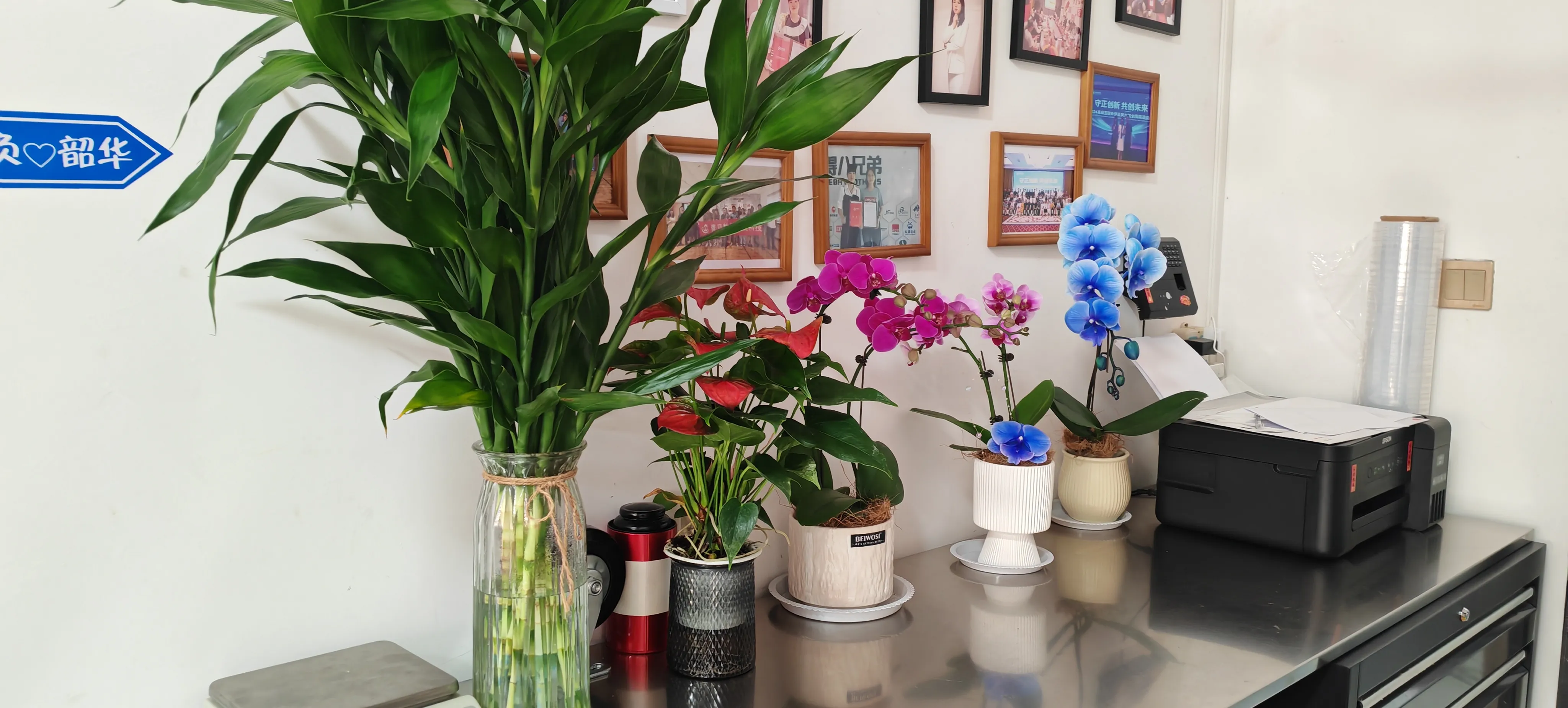 JOJO பேக்கின் புதிய நண்பர்களை வரவேற்கிறோம்!