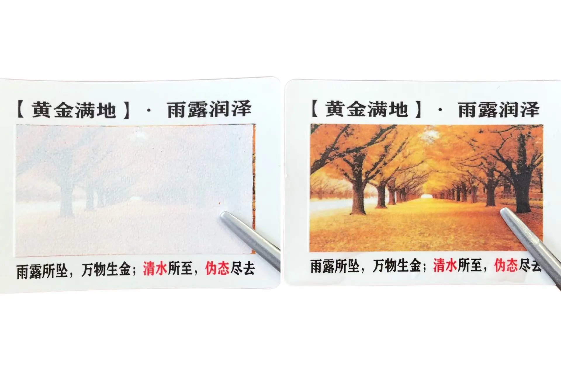 வண்ணத்தை மாற்றும் நீர் உணர்திறன் லேபிள்கள் உங்களுக்குத் தெரியுமா?